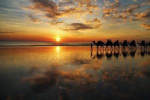 Sunset at Cable Beach Broome and Camel Train - Australian South Sea Pearls
