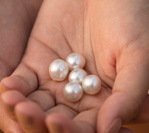 Close up of models hand holding 5 white Australian Pearls