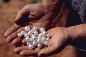 Australian pearls Broome Pearls
